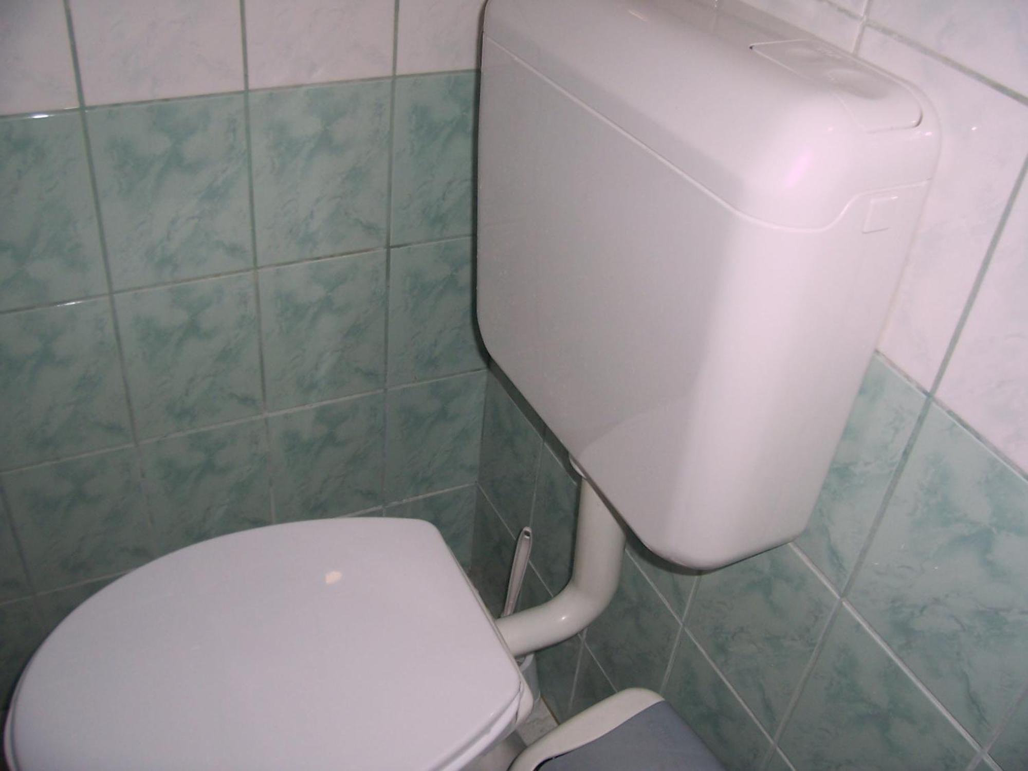 Universal Albergue